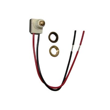 Replacement Switch