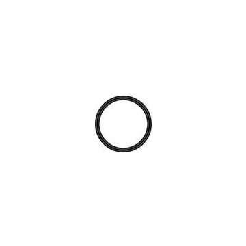 Watts Replacement "O" Ring for Flow-Pur Housings