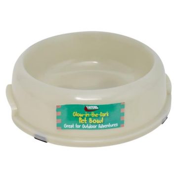 Pet Bowl Glow in the Dark